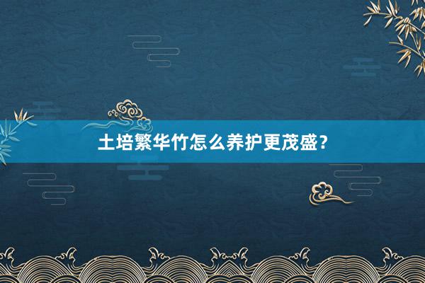土培繁华竹怎么养护更茂盛？
