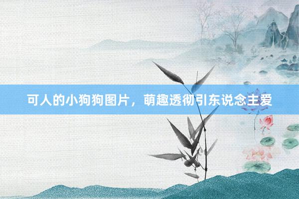 可人的小狗狗图片,萌趣透彻引东说念主爱