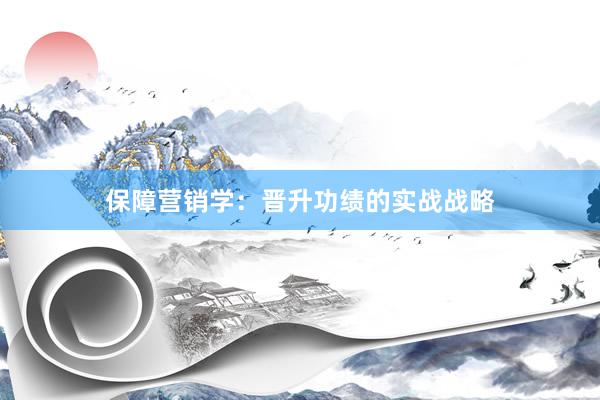保障营销学：晋升功绩的实战战略